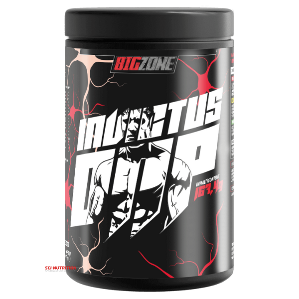 Big Zone - Invictus DNP Fatburner; Sci-Nutrition-Shop