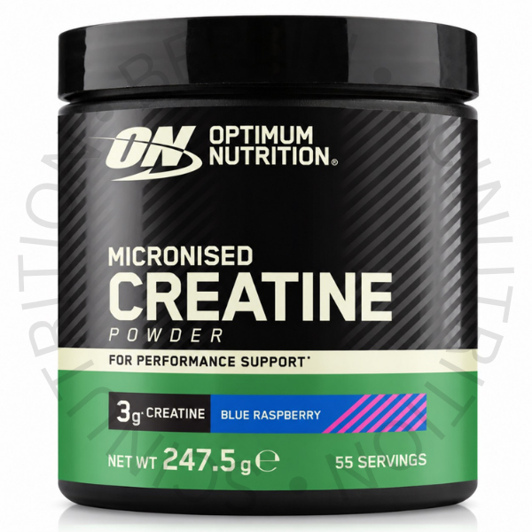 Optimum Nutrition Micronised Creatine Powder 247,5 g Creatin Pulver bei Sci Nutrition Berlin