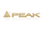 peak logo