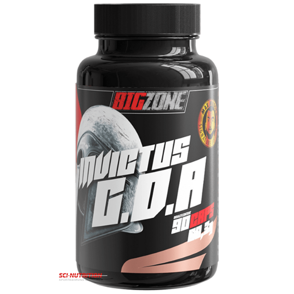 Big Zone - Invictus G.D.A Glucose Support; Fitnessshop Berlin